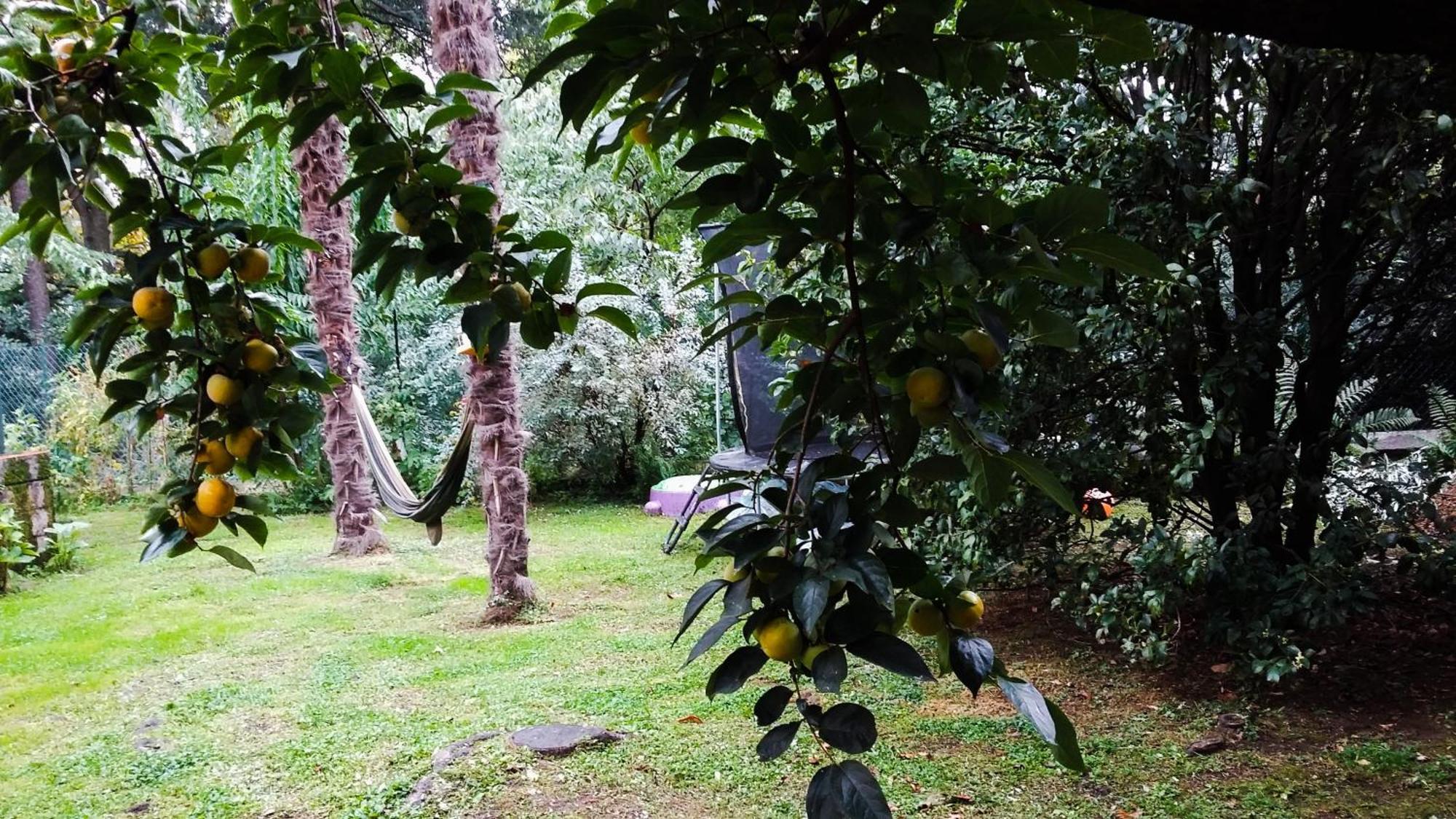 Adda River Casa Vacanza Calolziocorte Kültér fotó